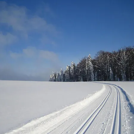 Cozy In Bavaria Near Forest Sonnen