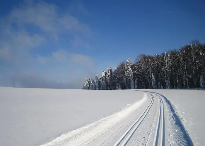Cozy In Bavaria Near Forest Sonnen