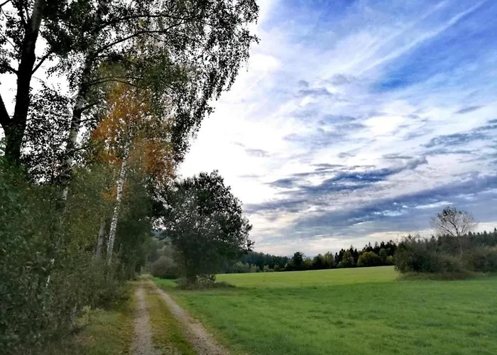 Cozy In Bavaria Near Forest